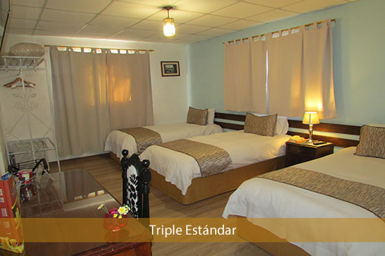 [:es]TRIPLE ESTÁNDAR[:en]TRIPLE STANDARD